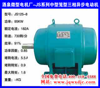 95KW �˼� JSϵ���������������첽�綯�� JS125-8